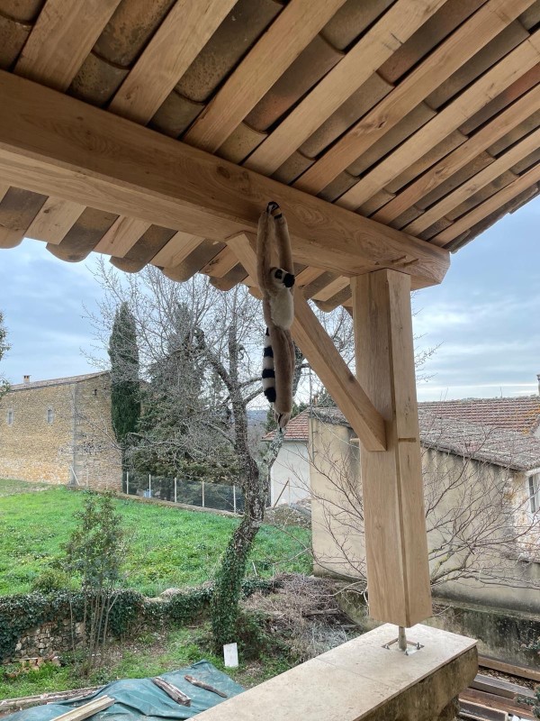 Artisan pour réaliser un appenti en chêne à Anduze et alentours dans le gard